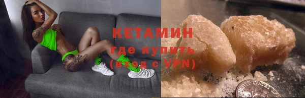 сатива Вязьма