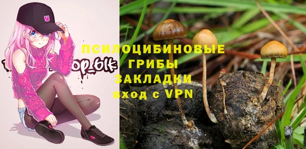гидропоника Вяземский