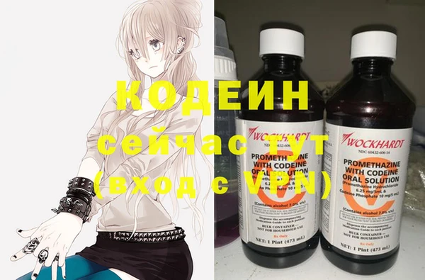 сатива Вязьма
