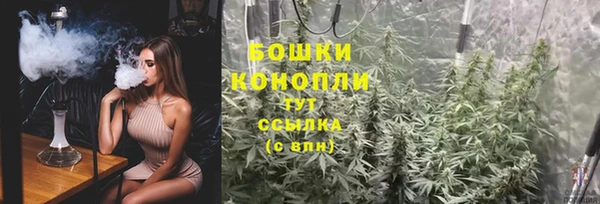 сатива Вязьма